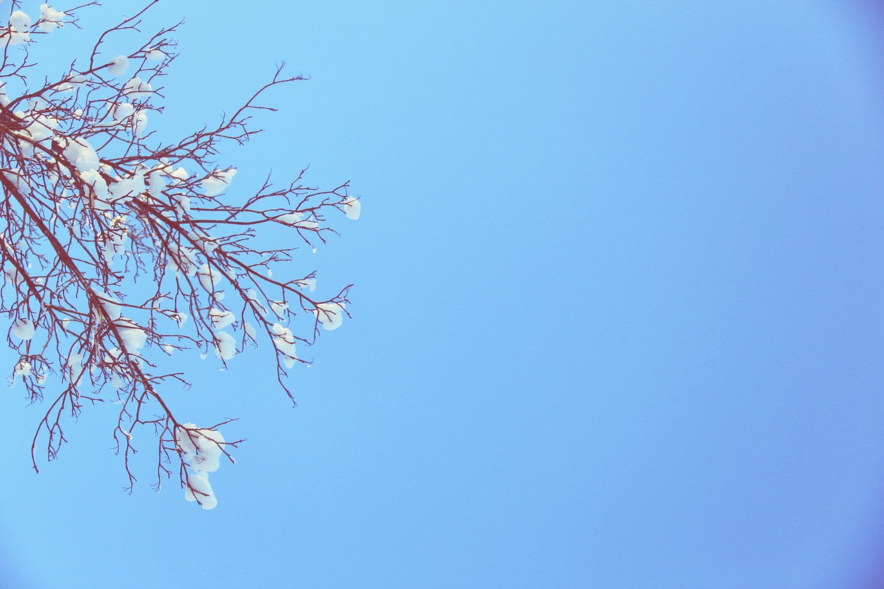 blue sky winter free photo