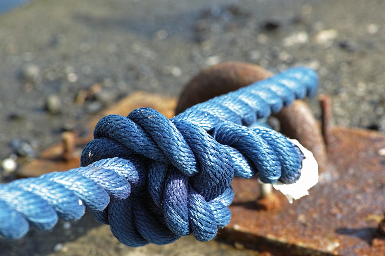 blue rope connect free photo