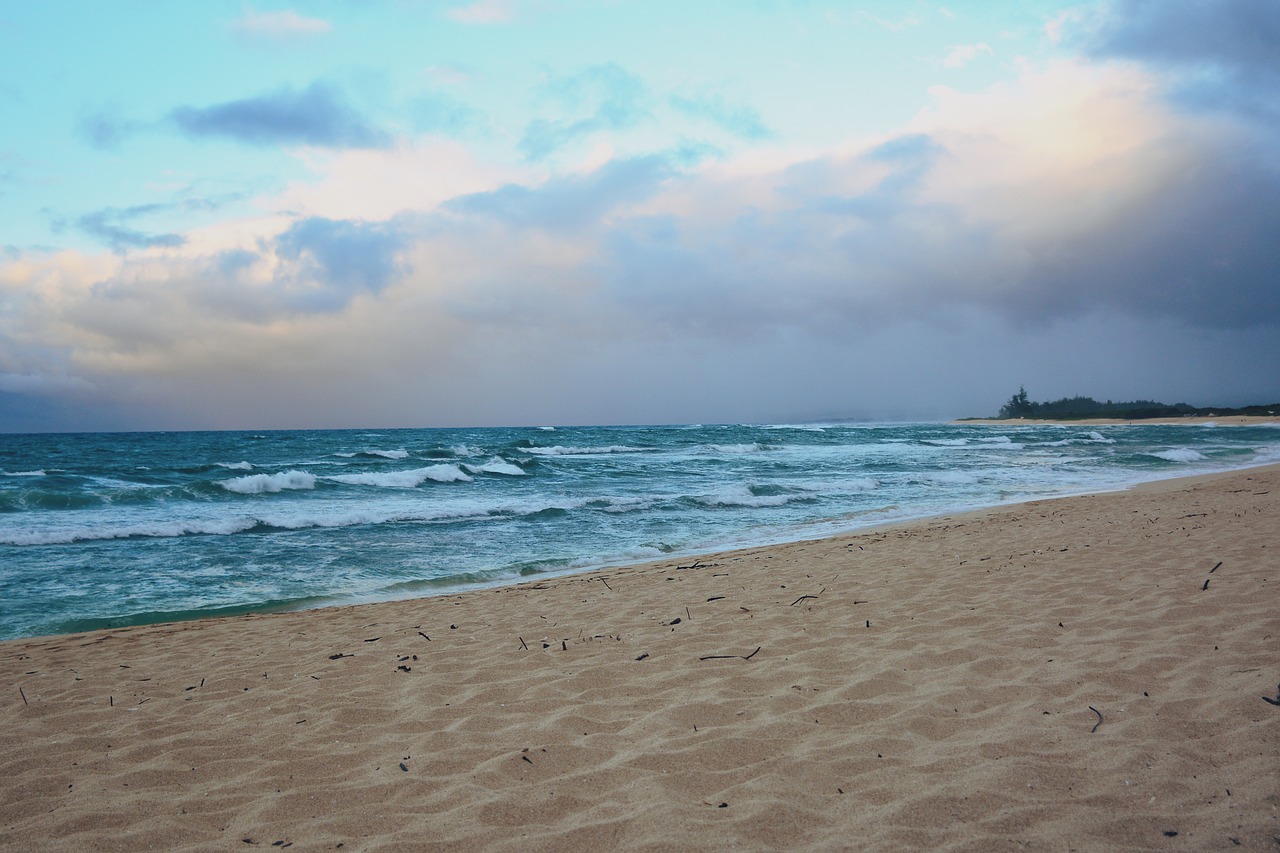 blue  peaceful  surf free photo