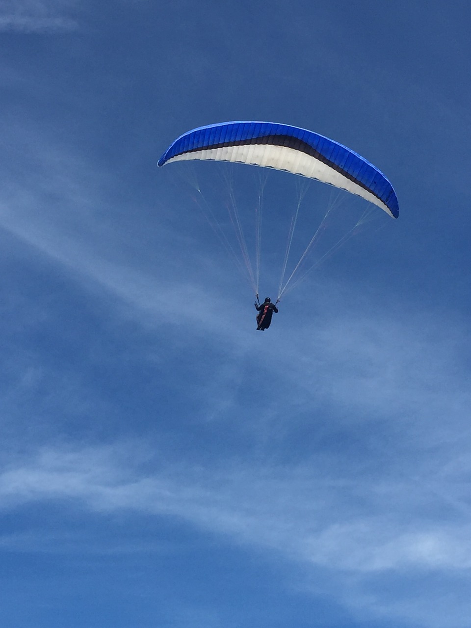 blue  paragliding  sky free photo