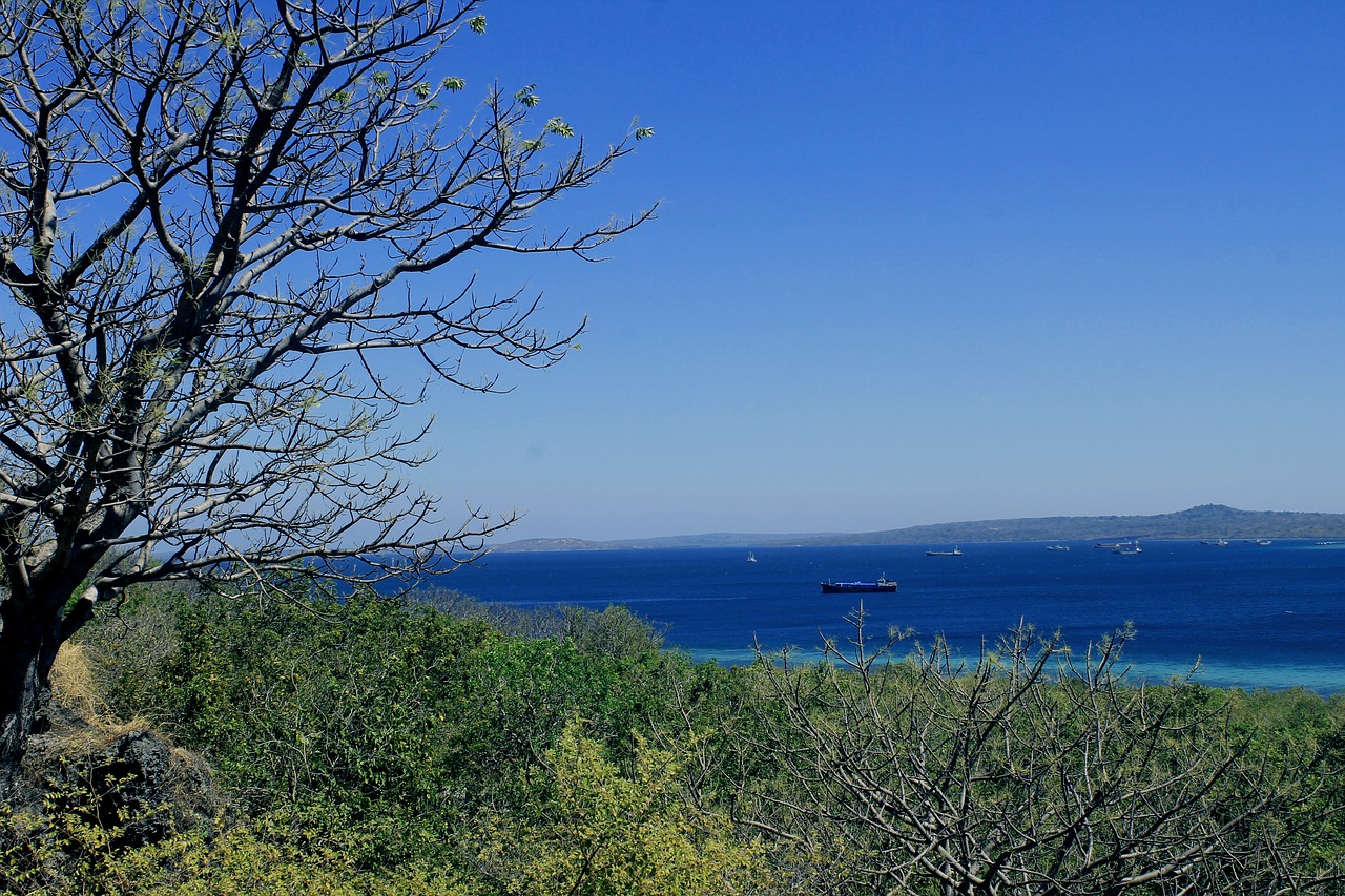 blue  the sky  the sea free photo