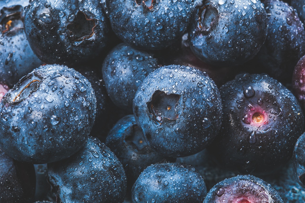 blue  berries  fruits free photo