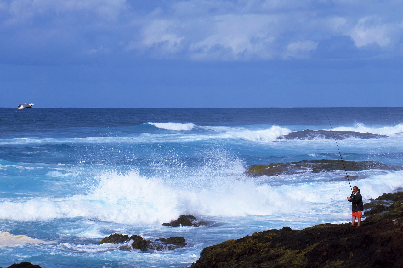 blue  ocean  waves free photo