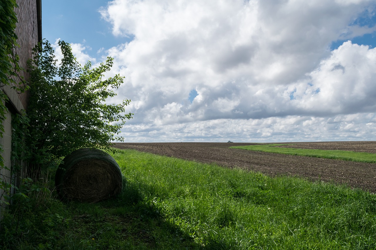 blue green sunny free photo