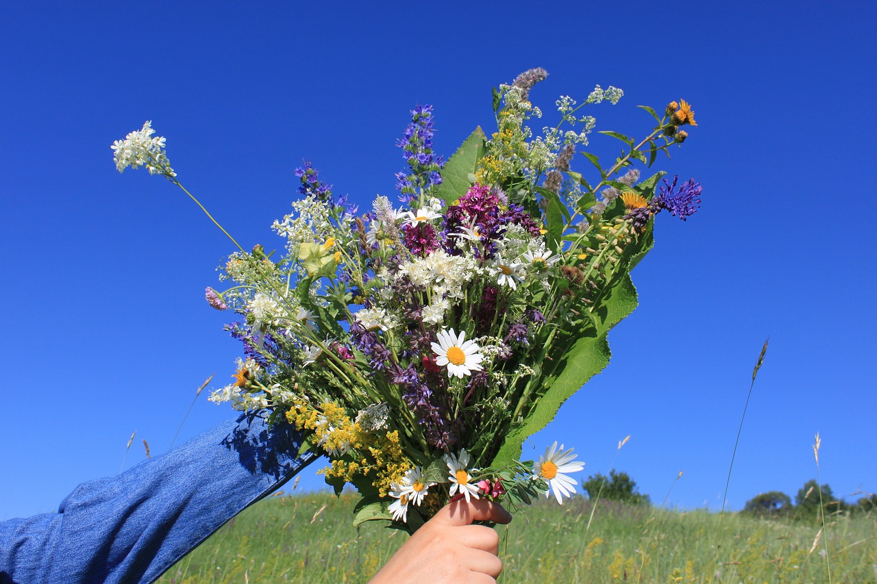 blue bouquet sky free photo