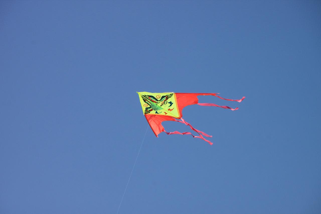 blue flying kite free photo