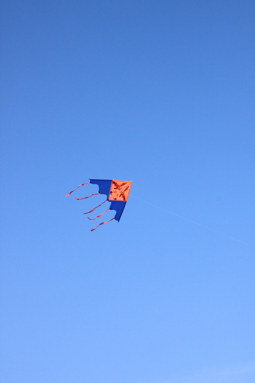 blue flying kite free photo