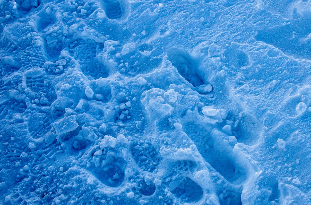blue snow footprints free photo