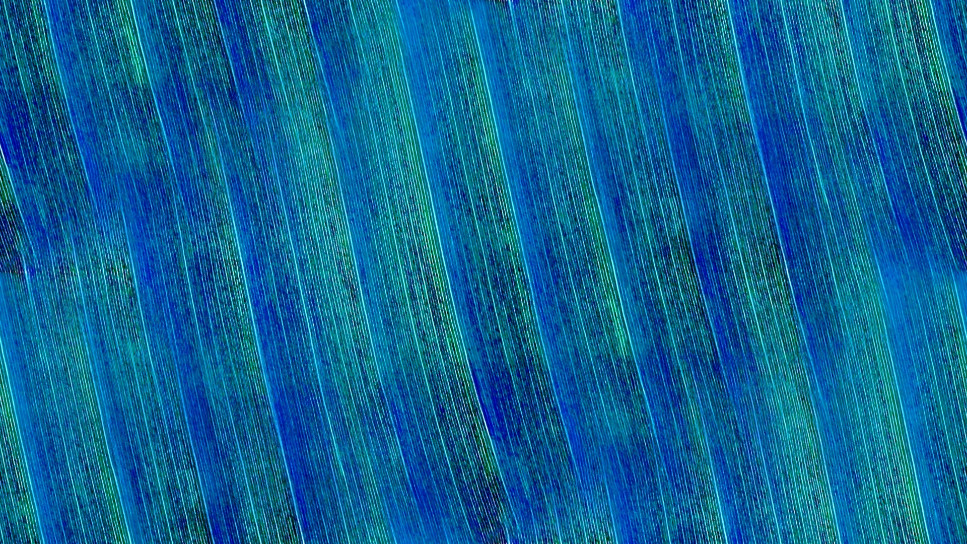 blue wallpaper background free photo