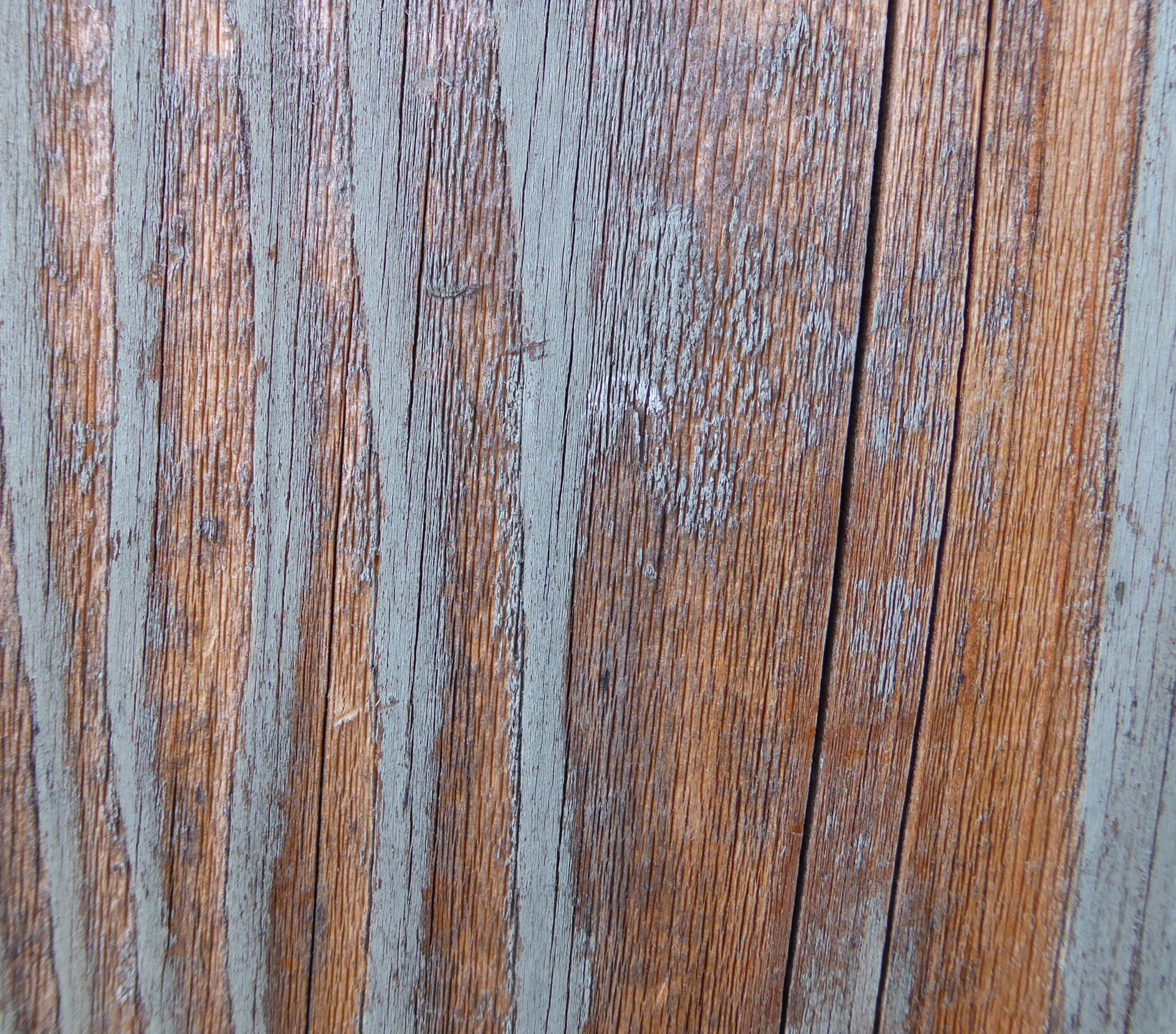 texture background wood free photo