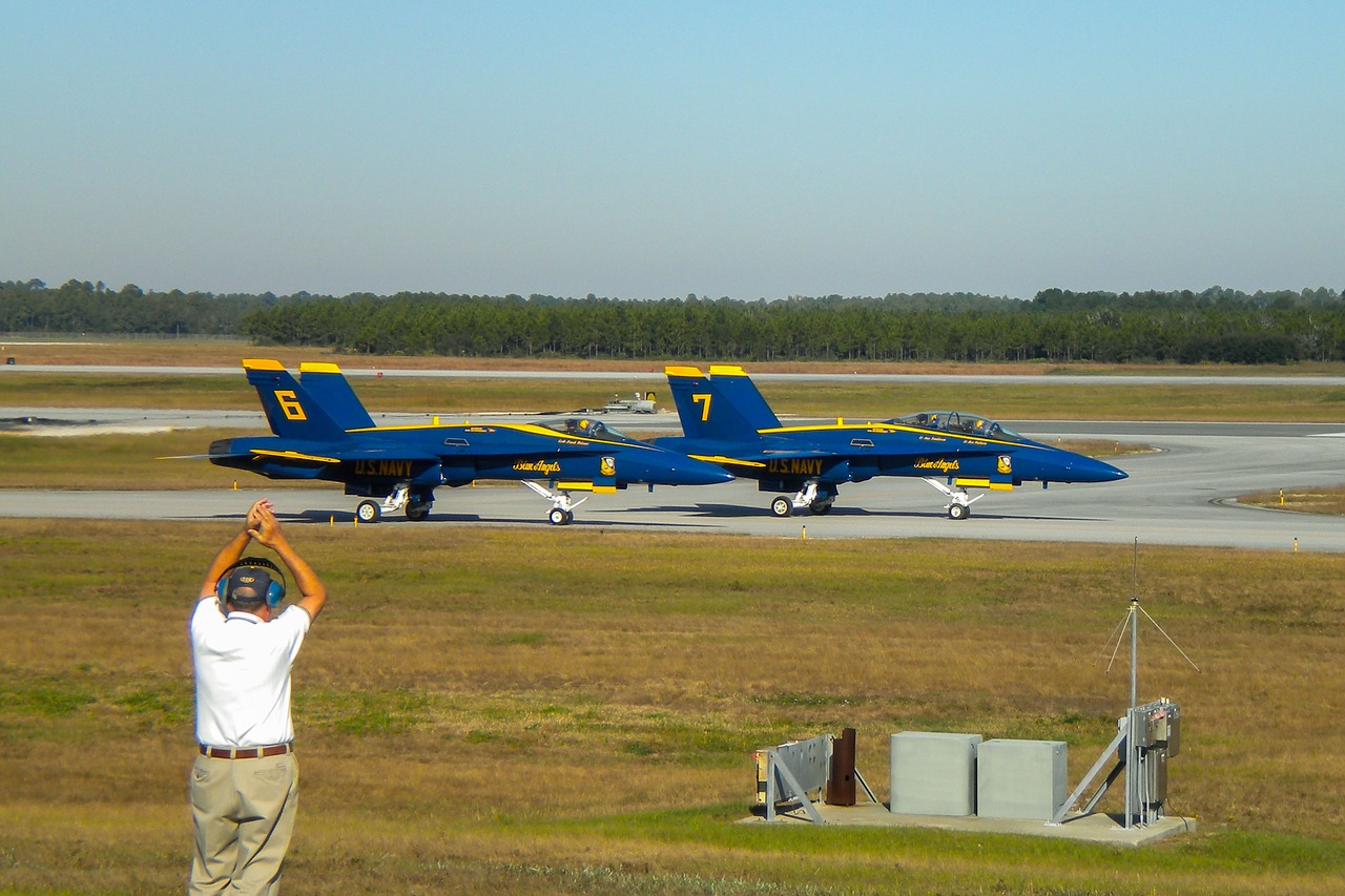 blue angels f18 hornet aircraft free photo