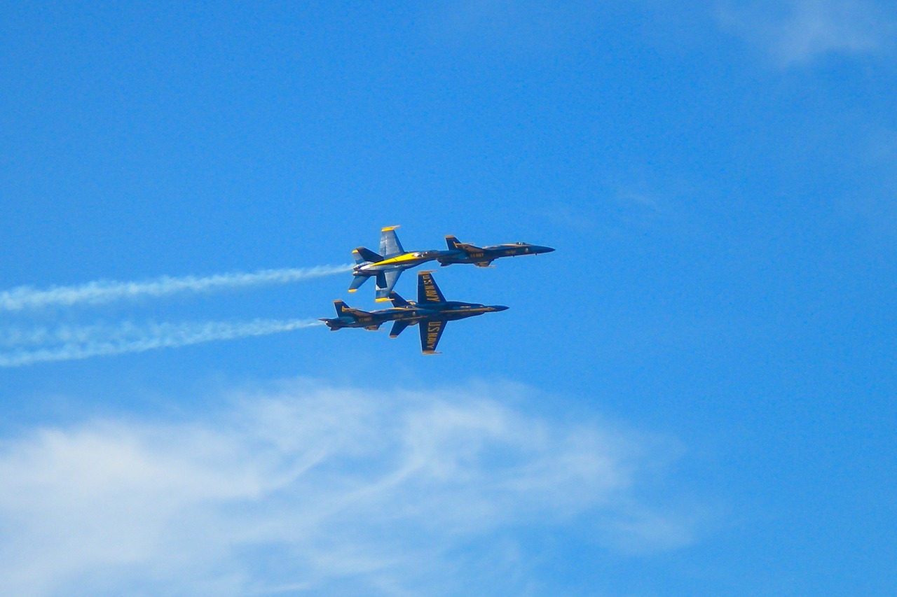 blue angels f18 hornet aircraft free photo