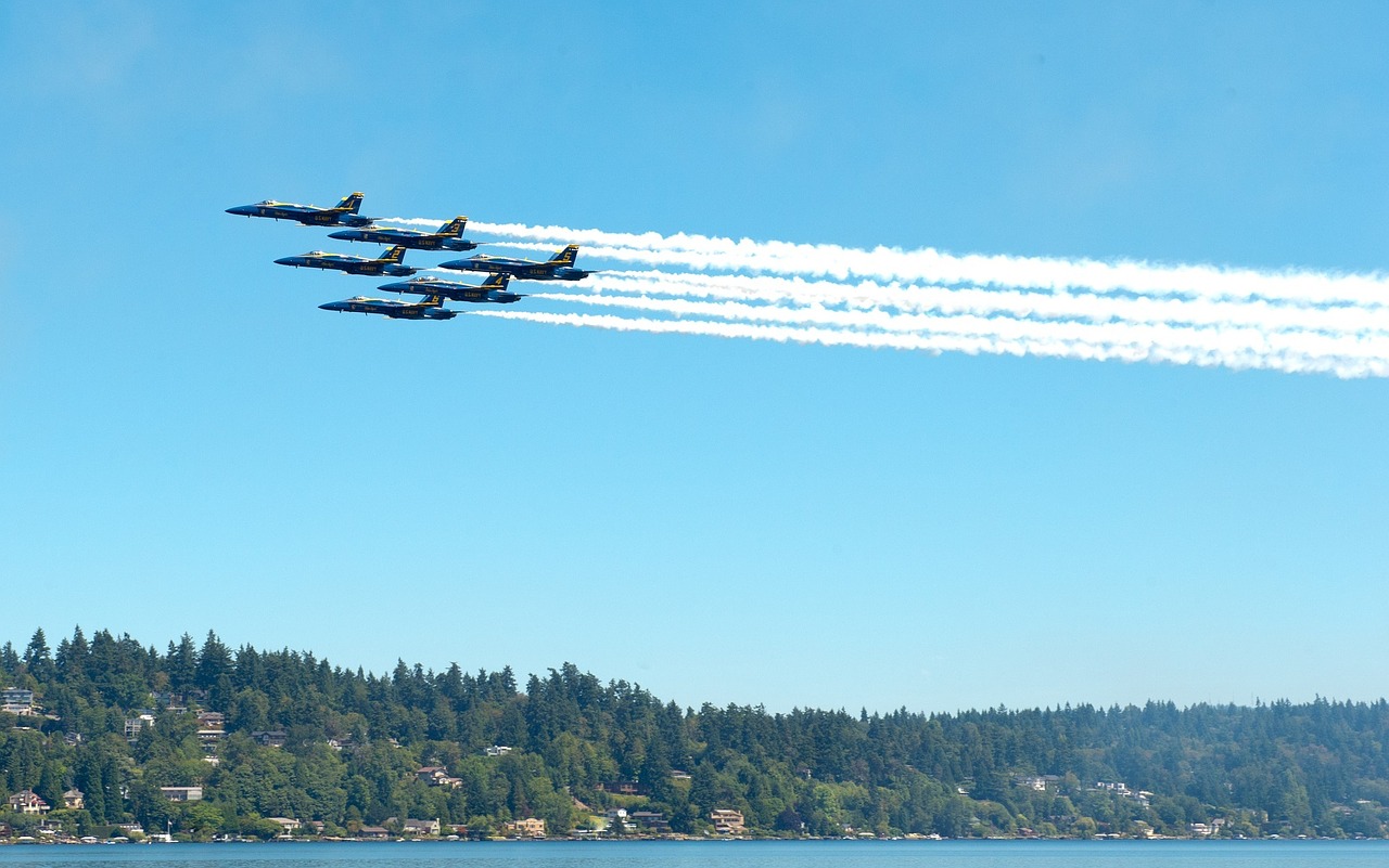 blue angels navy precision free photo