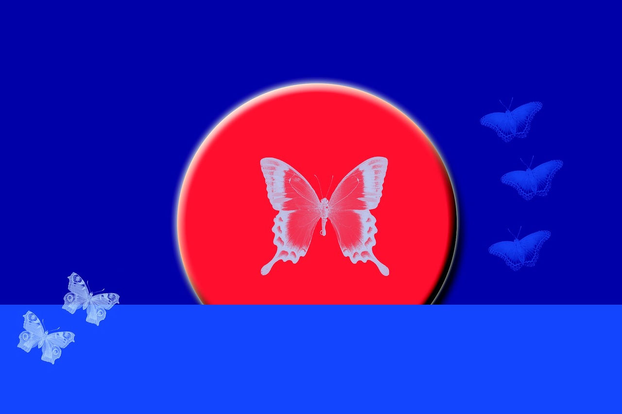 blue background butterflies frame free photo