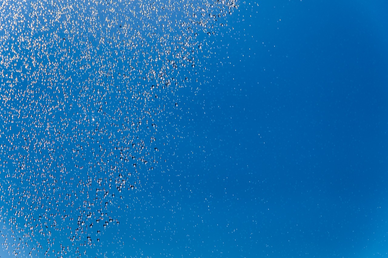 blue background  drops of water  rain free photo