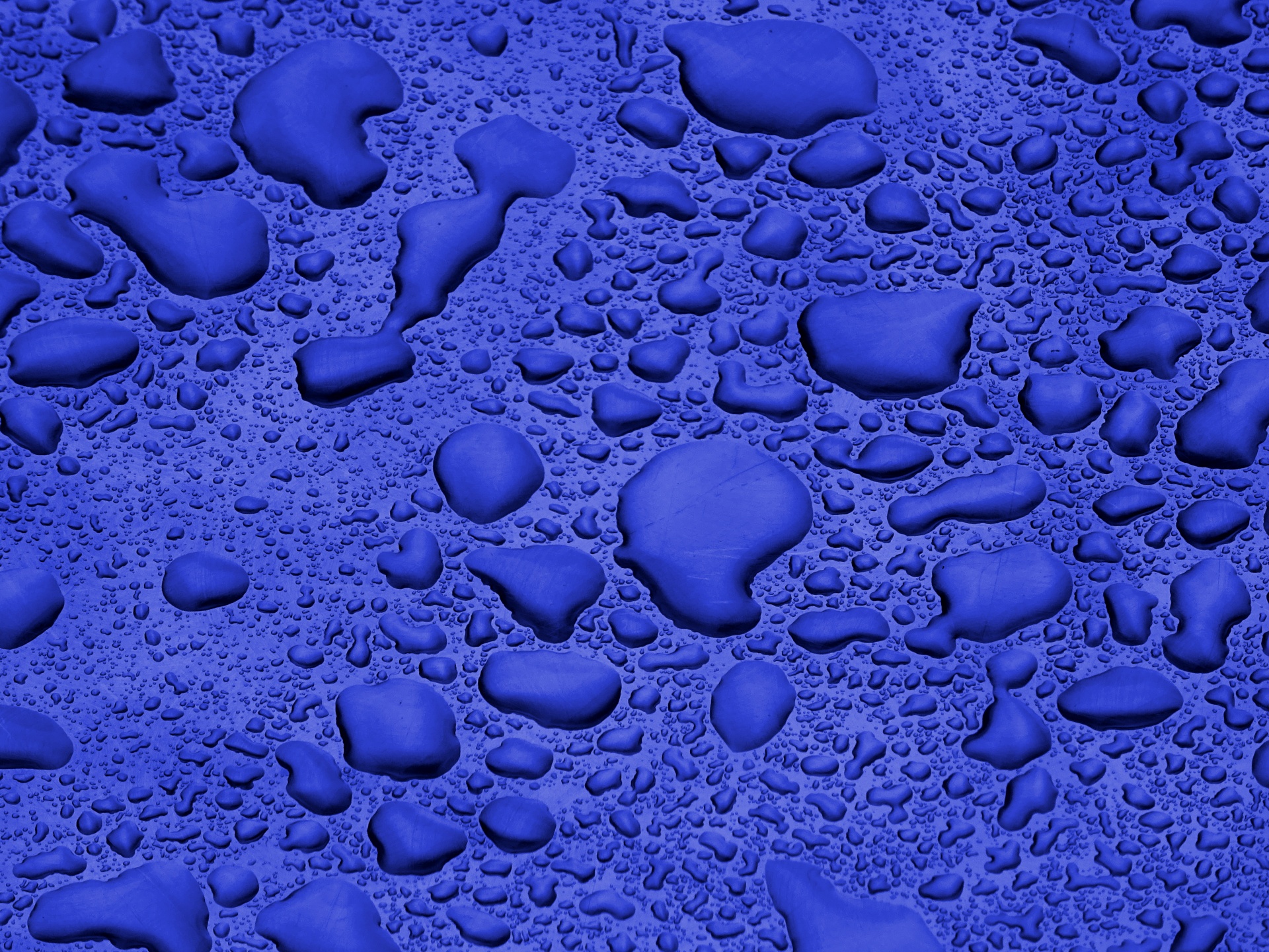 blue rainfall rain free photo