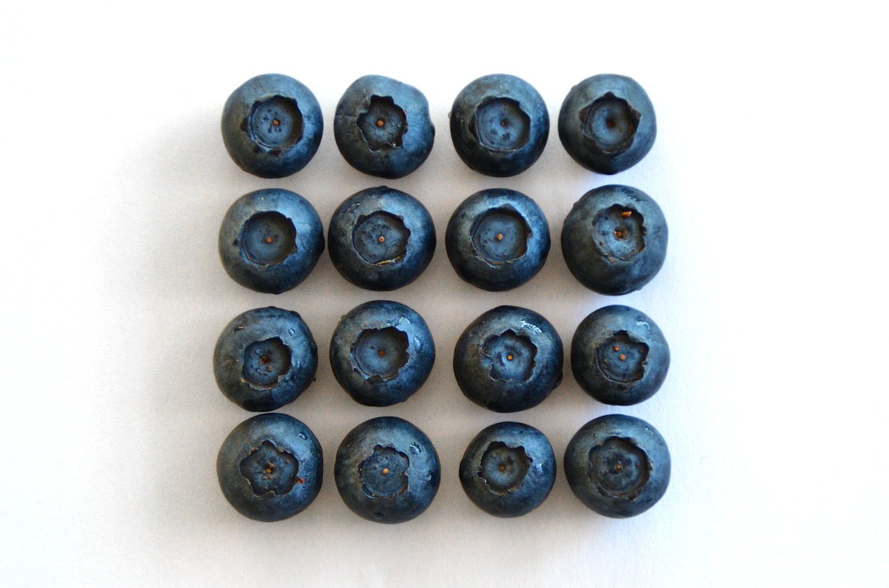 blue berries blueberries rhythm free photo