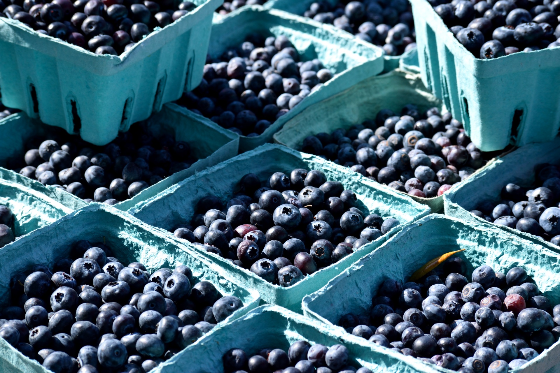blue berries for sale fruit free photo