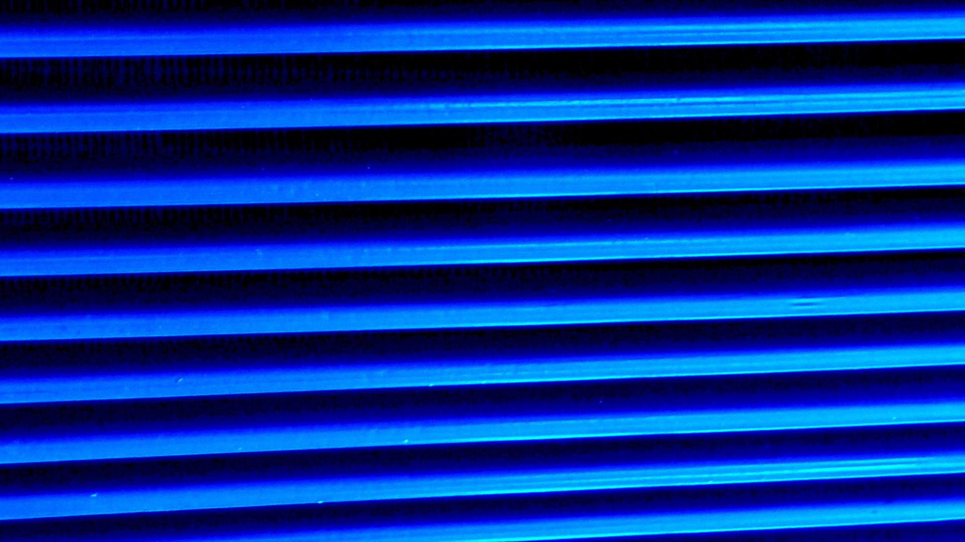 blue blinds blind free photo