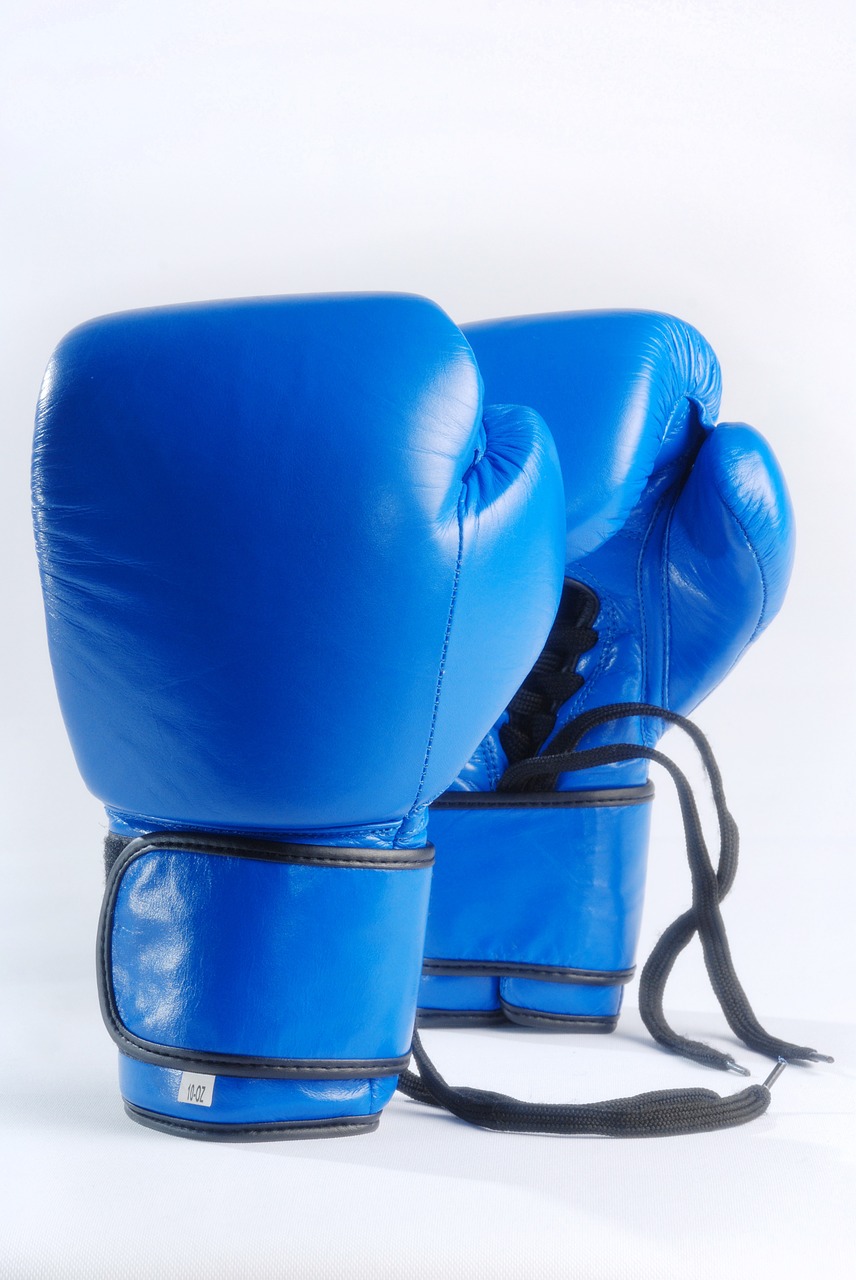blue boxing gloves isolated on white background fight free photo