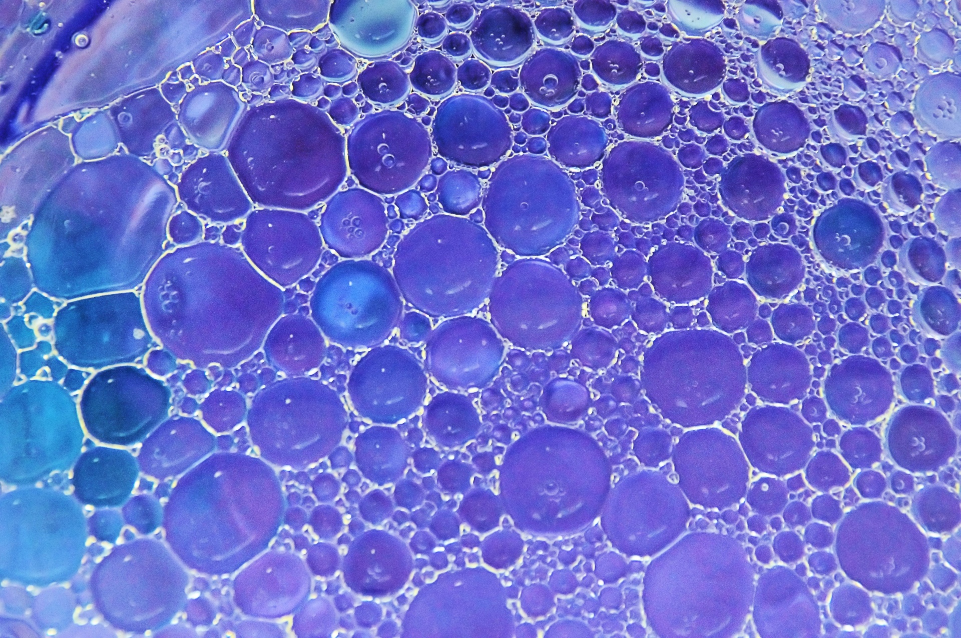 blue bubbles background free photo