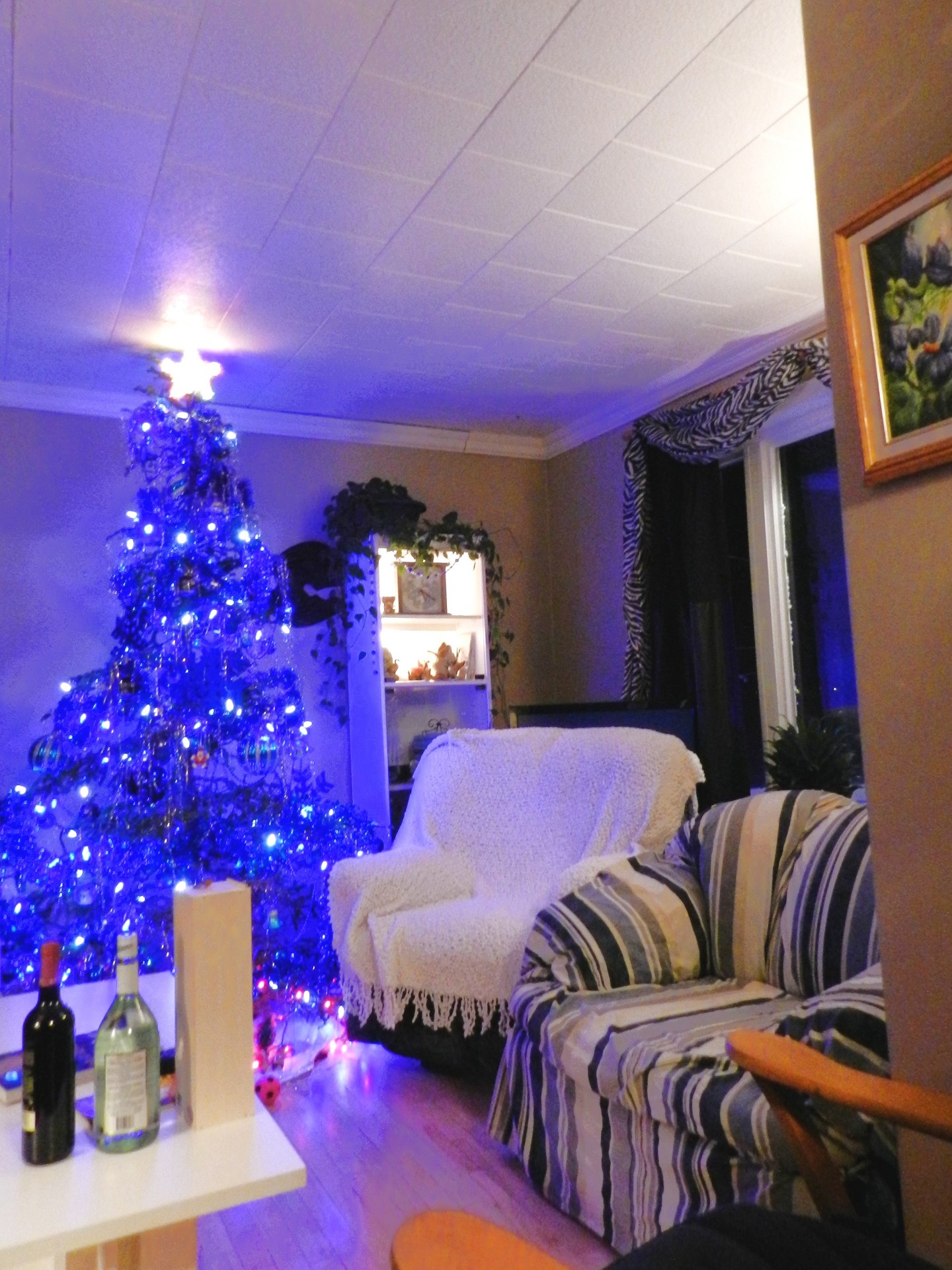christmas decoration blue tree free photo