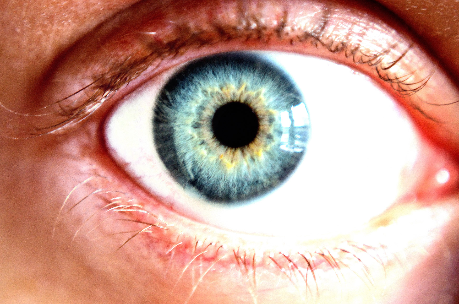 eye blue cornea free photo