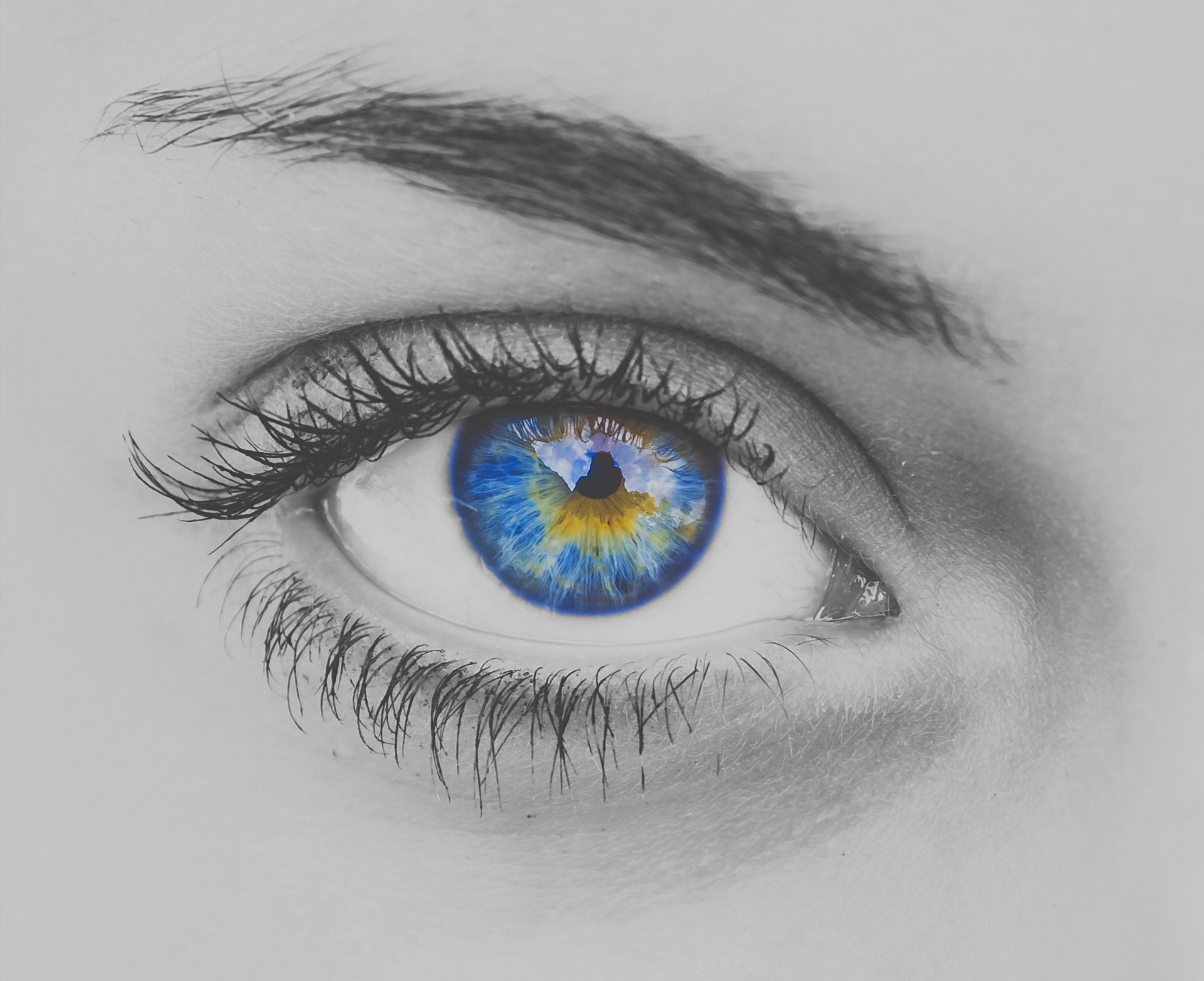 eye blue woman free photo