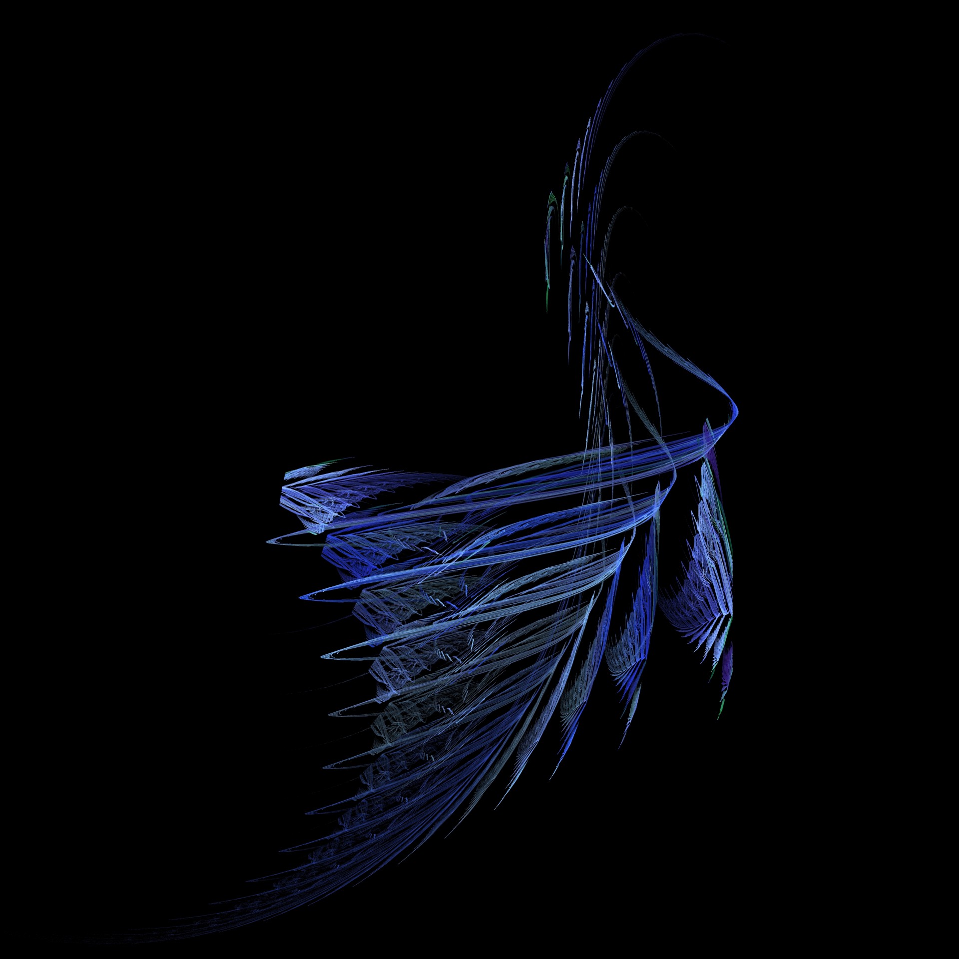 blue feathers abstract free photo