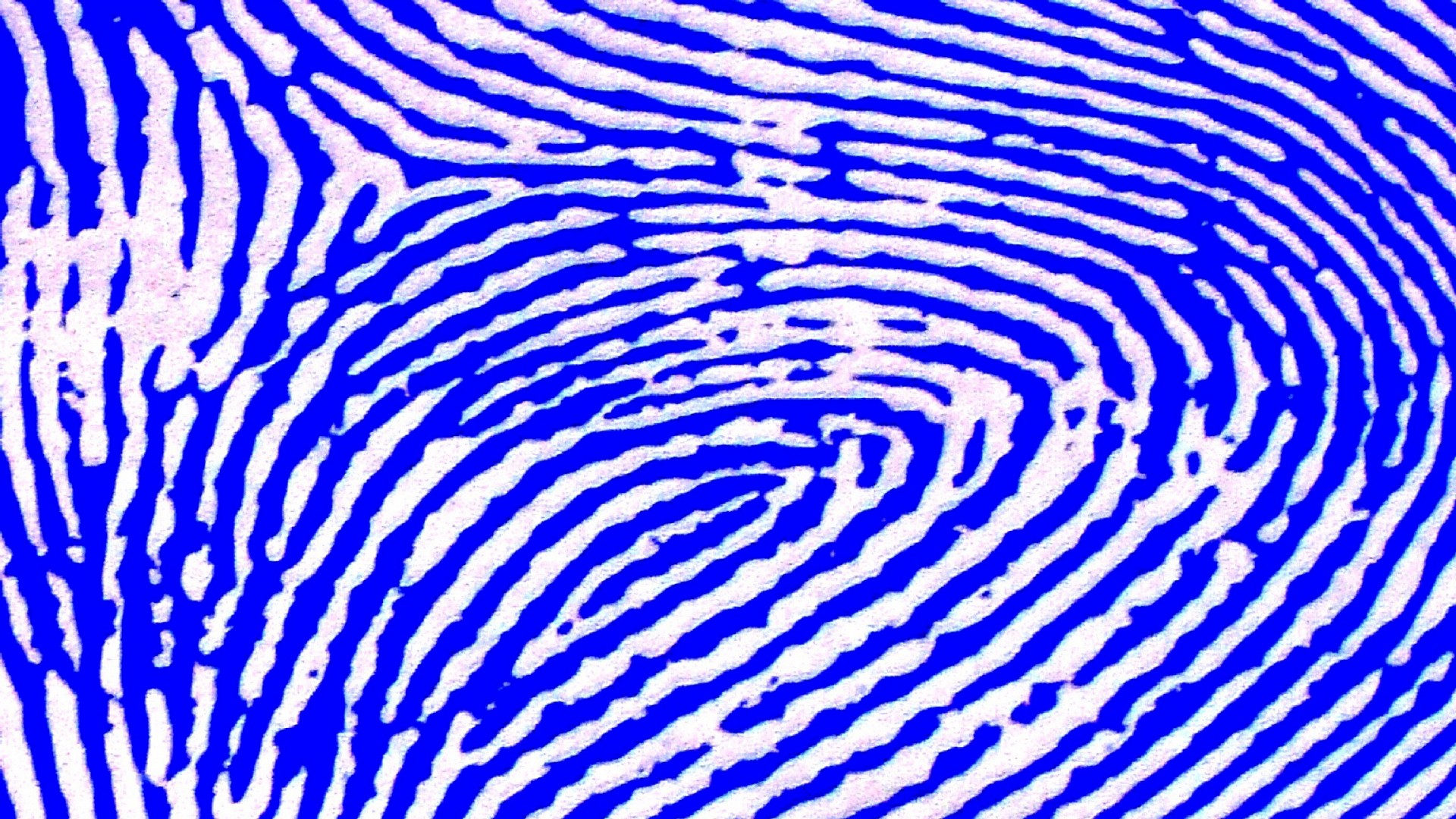 blue fingerprint fingerprints free photo
