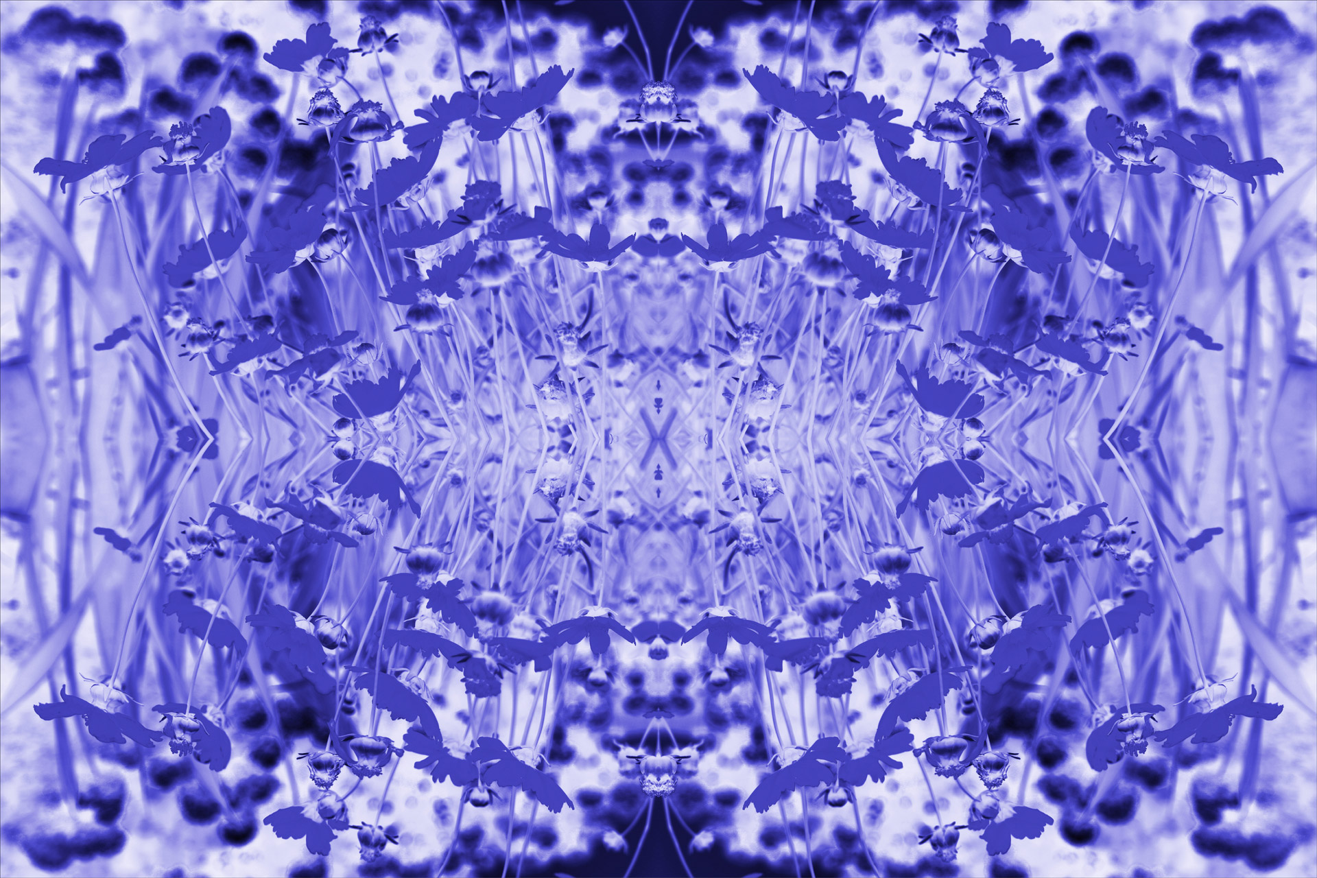blue white pattern free photo