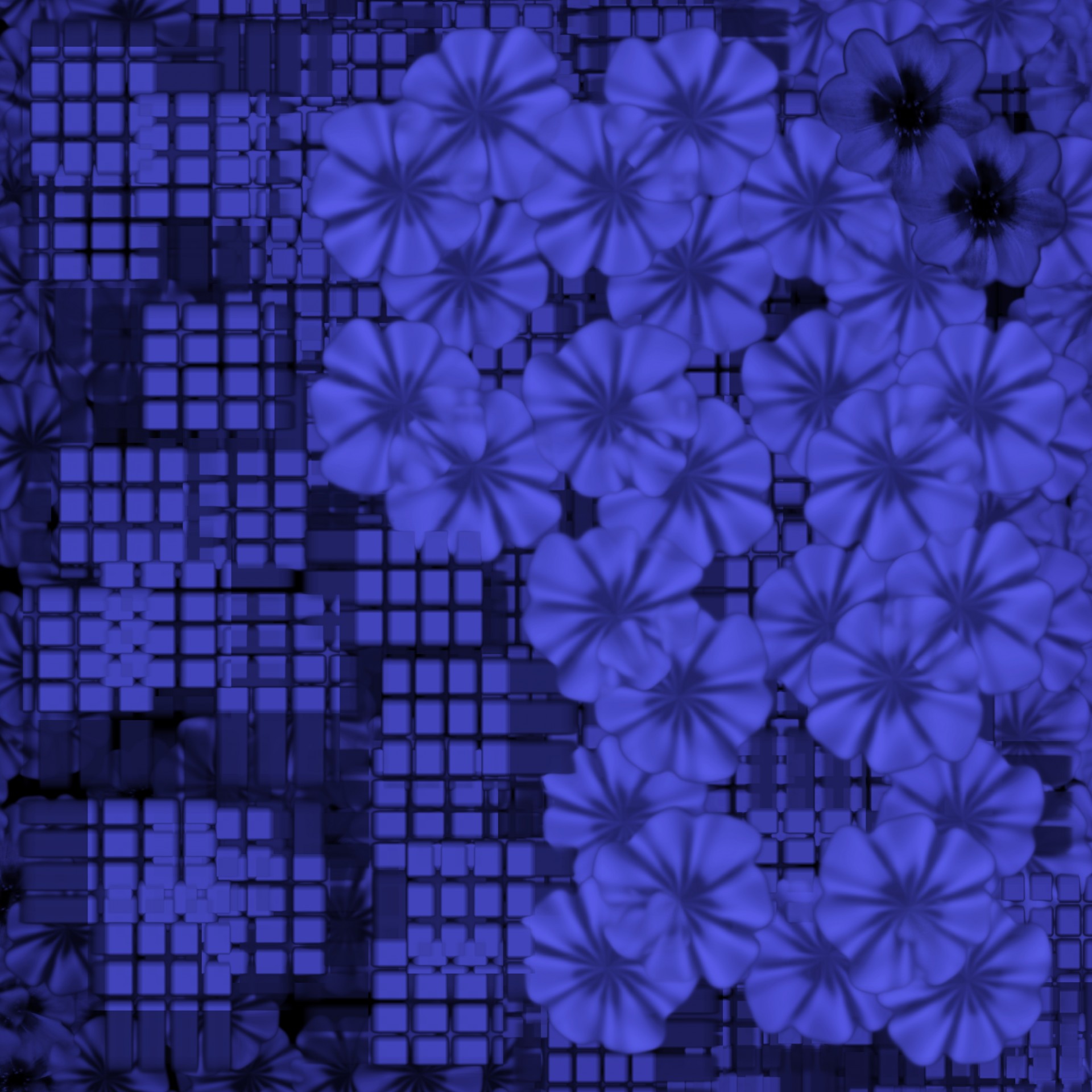 blue flowers grid free photo