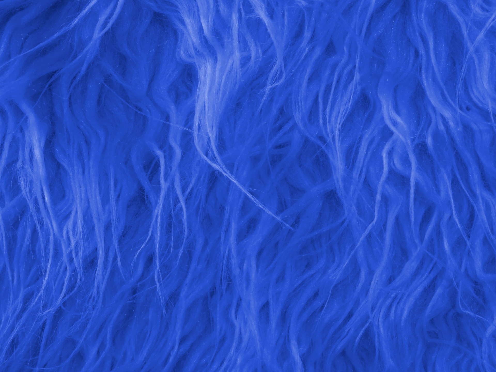 blue backgrounds fur free photo