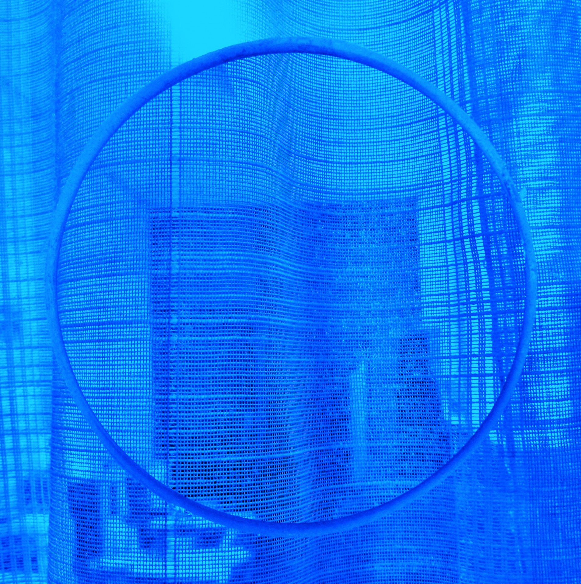 curtain blue gauzy free photo