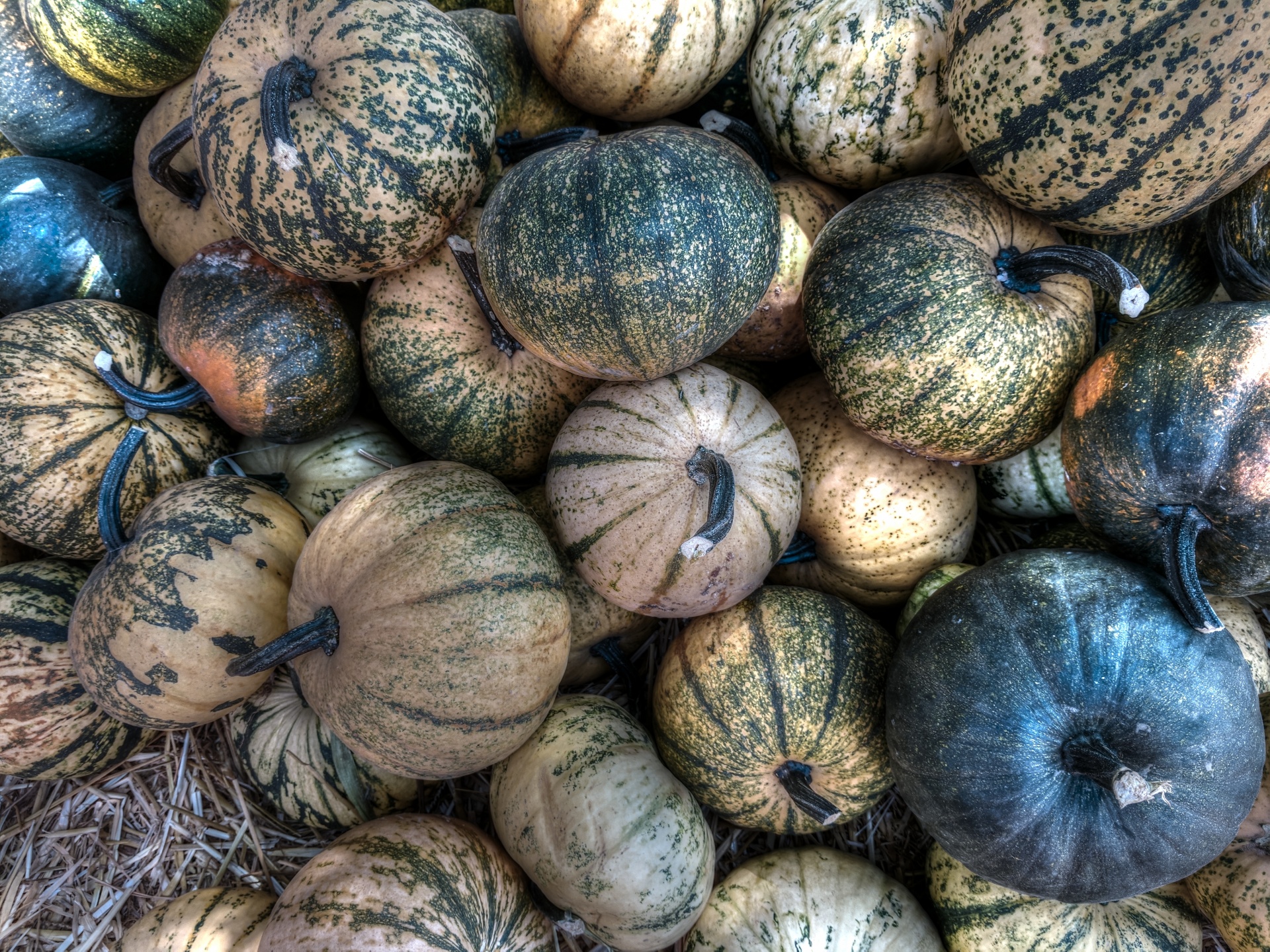 gourds vegetable food free photo