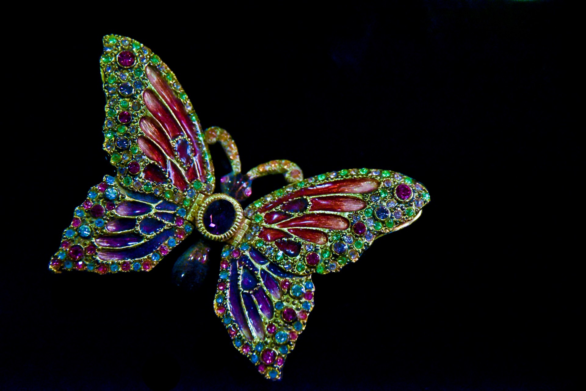 butterfly jeweled blue free photo
