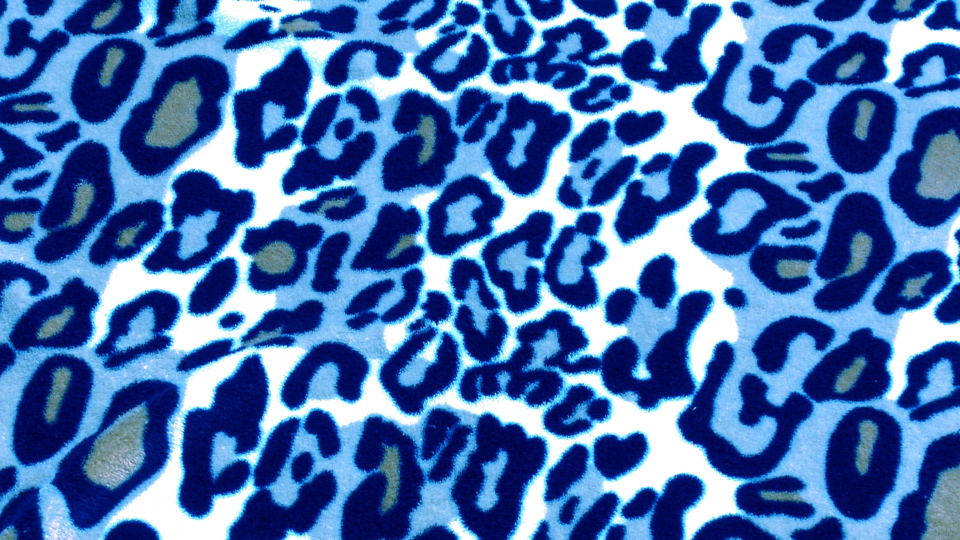 blue leopard skin free photo