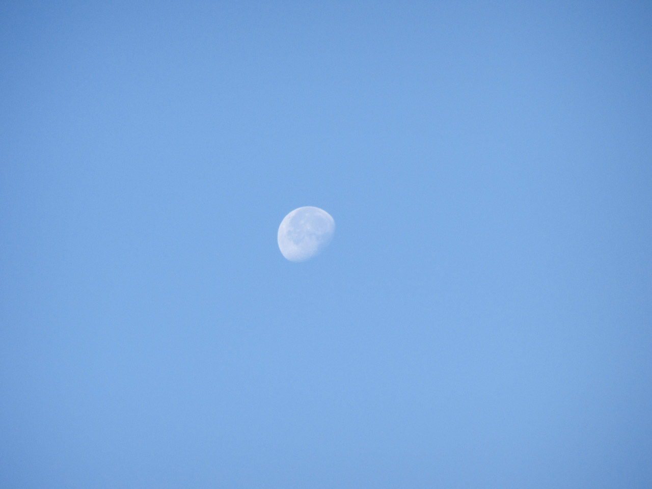 moon sky blue free photo