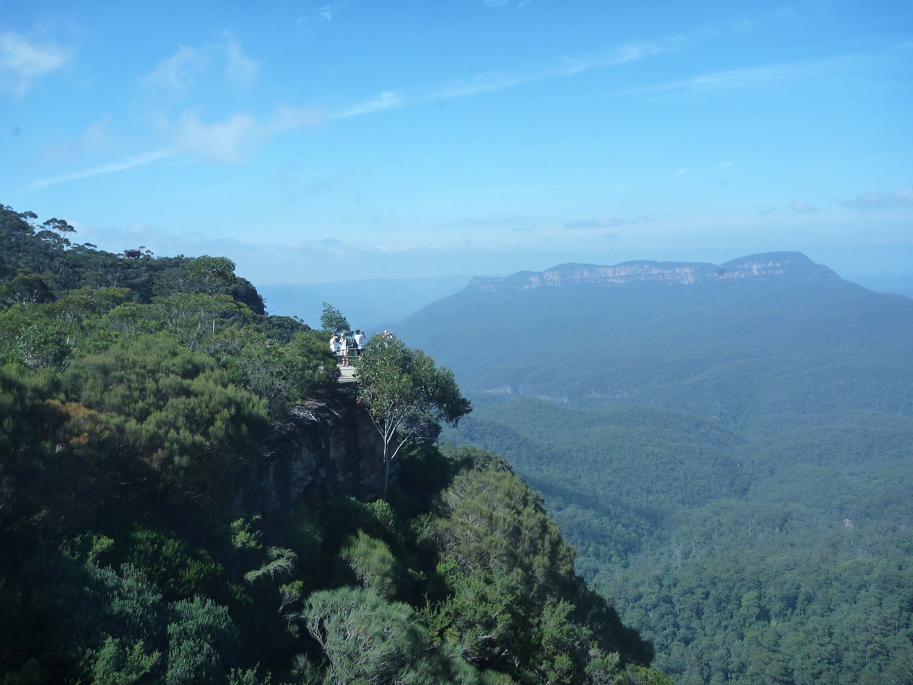 blue mountains cliff edge forest free photo