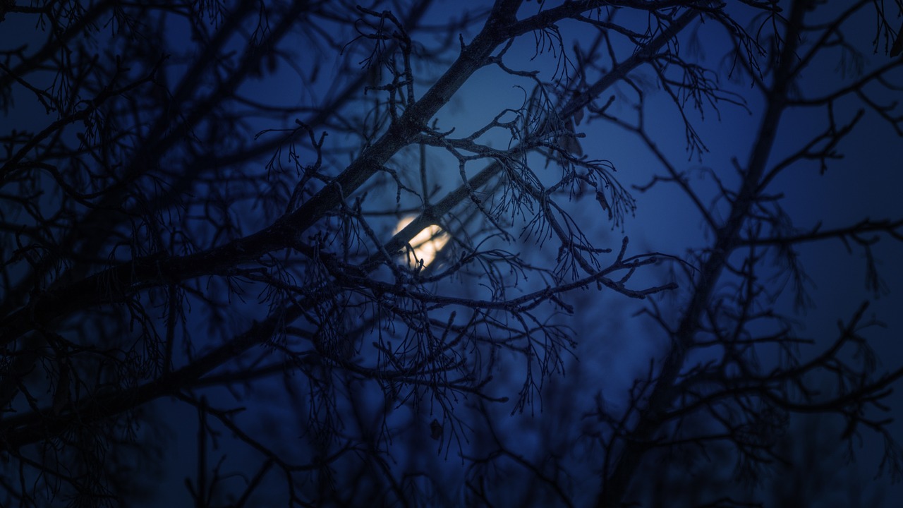 blue night moon winter free photo