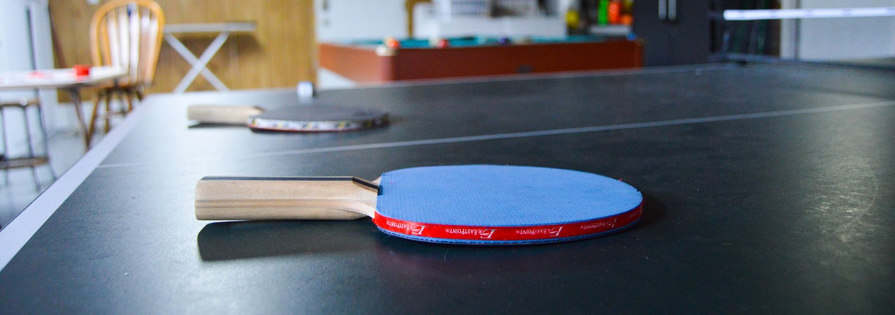blue ping pong paddle paddle ping pong table free photo