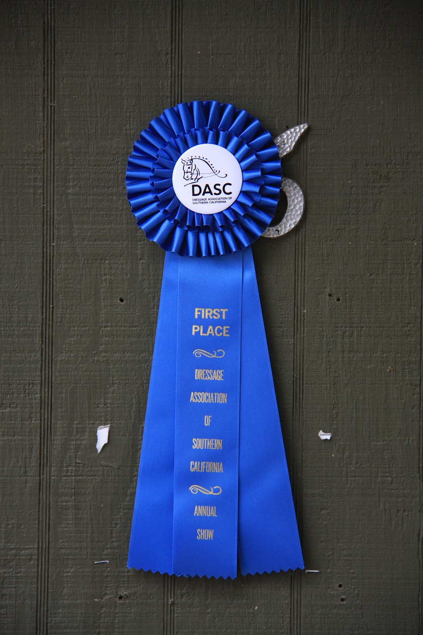 blue ribbon horse show ribbon award free photo