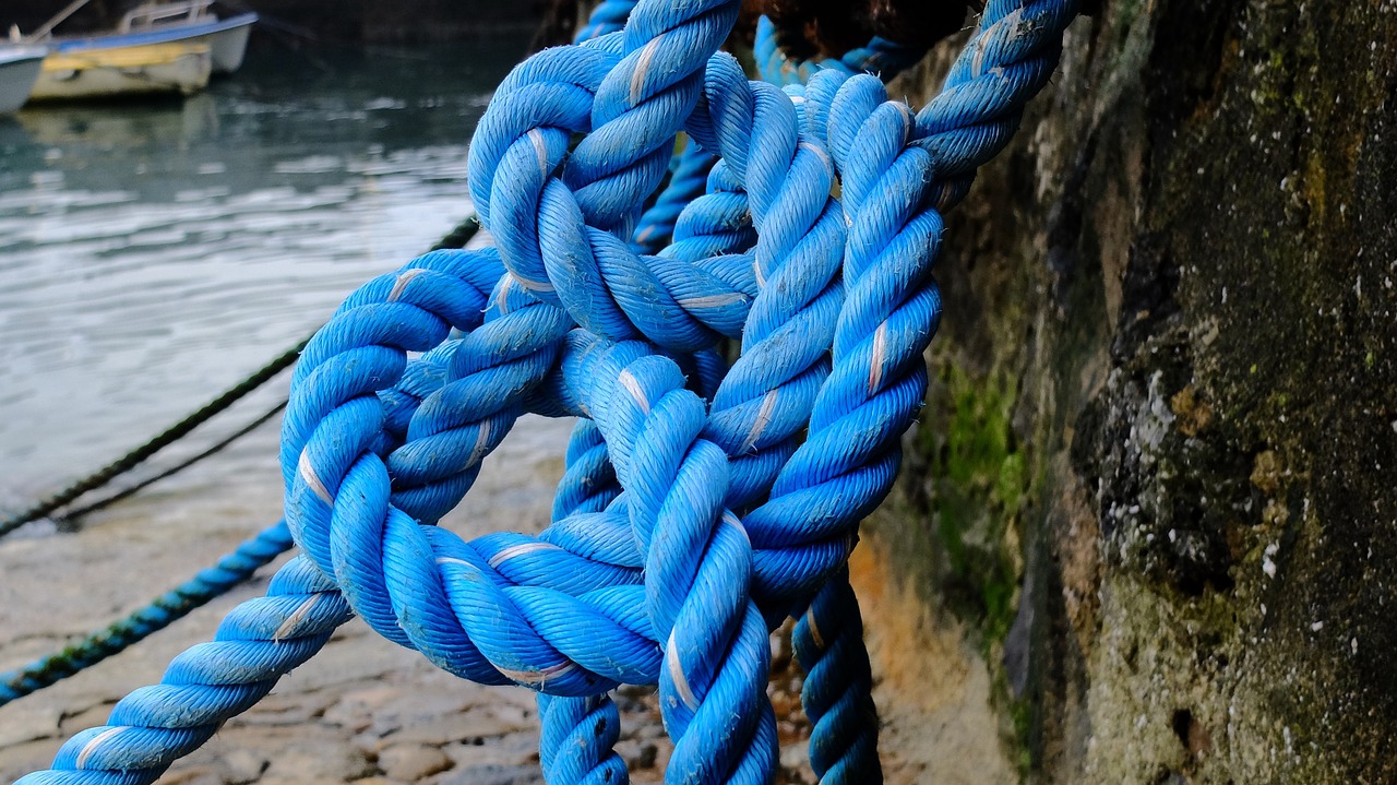 blue rope rope knot free photo