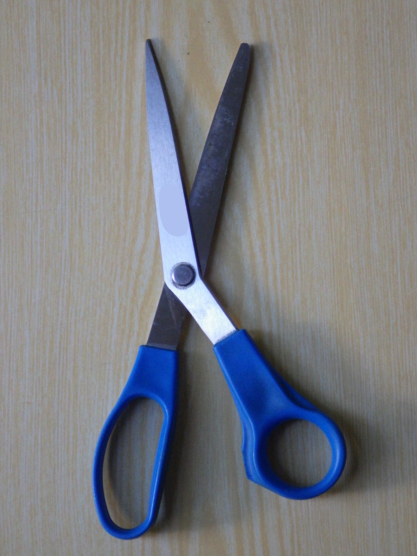 blue scissors cutters free photo