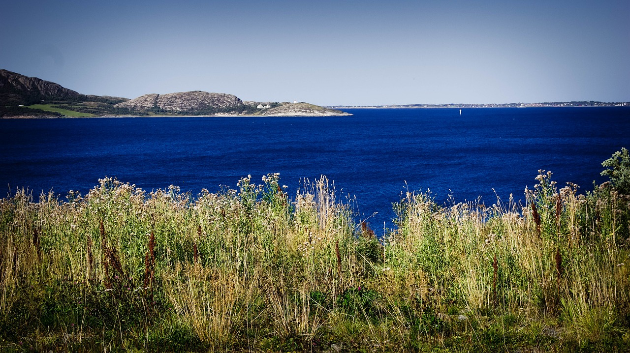 blue sea nature straw free photo