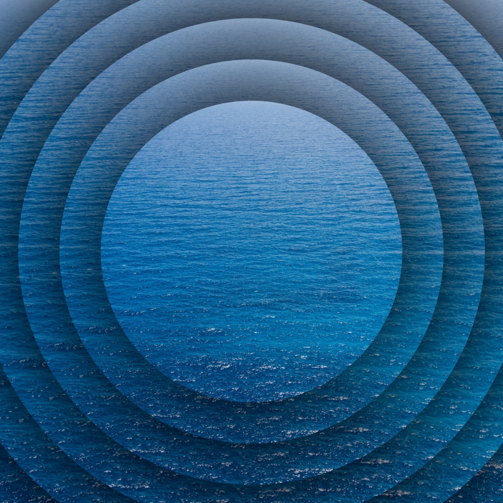 wallpaper concentric blue free photo