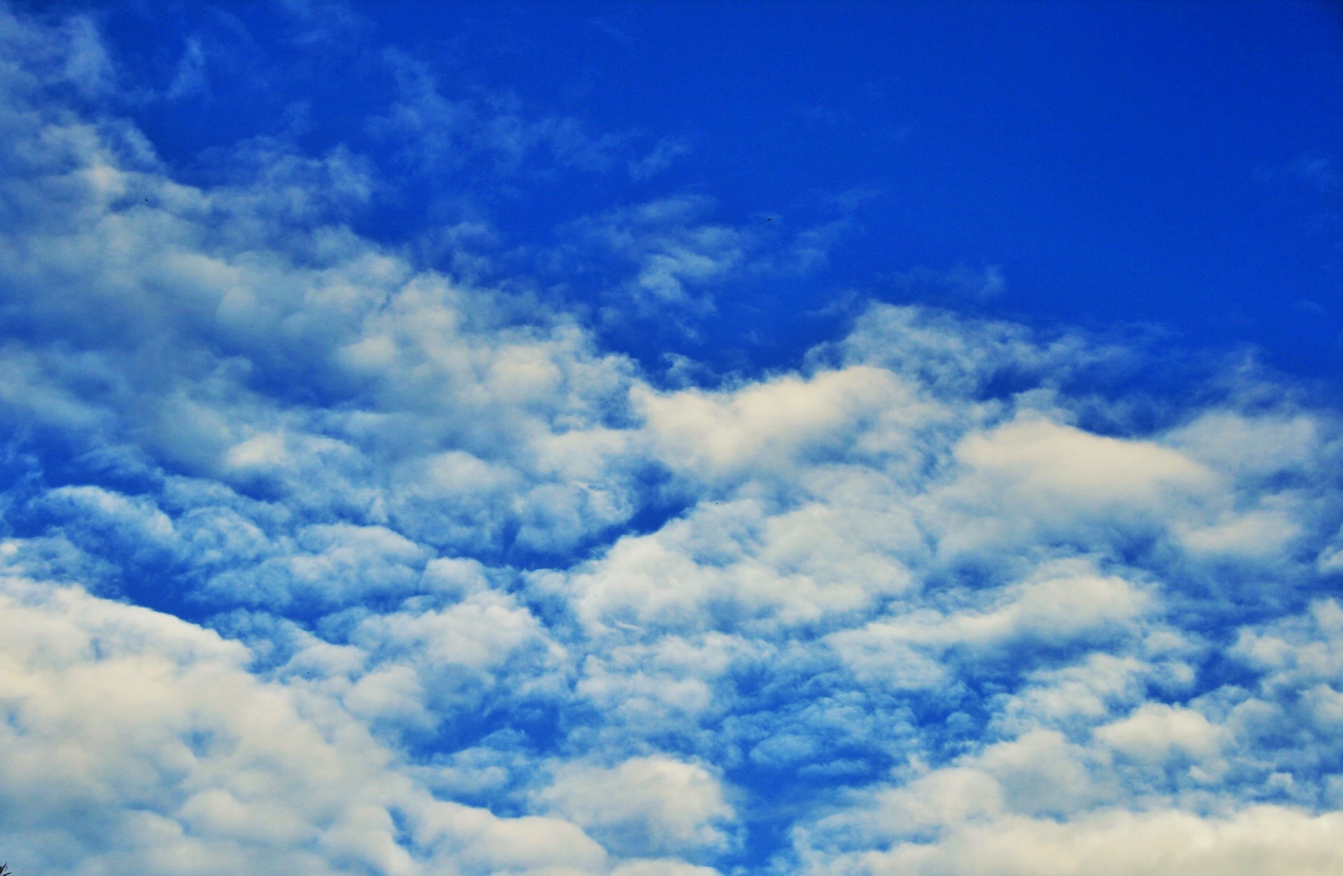 sky blue cloud free photo