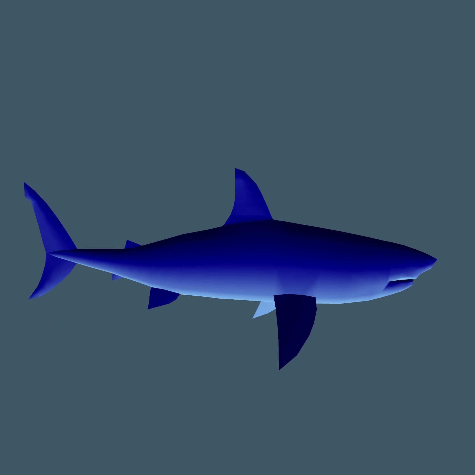 blue shark isolated free photo