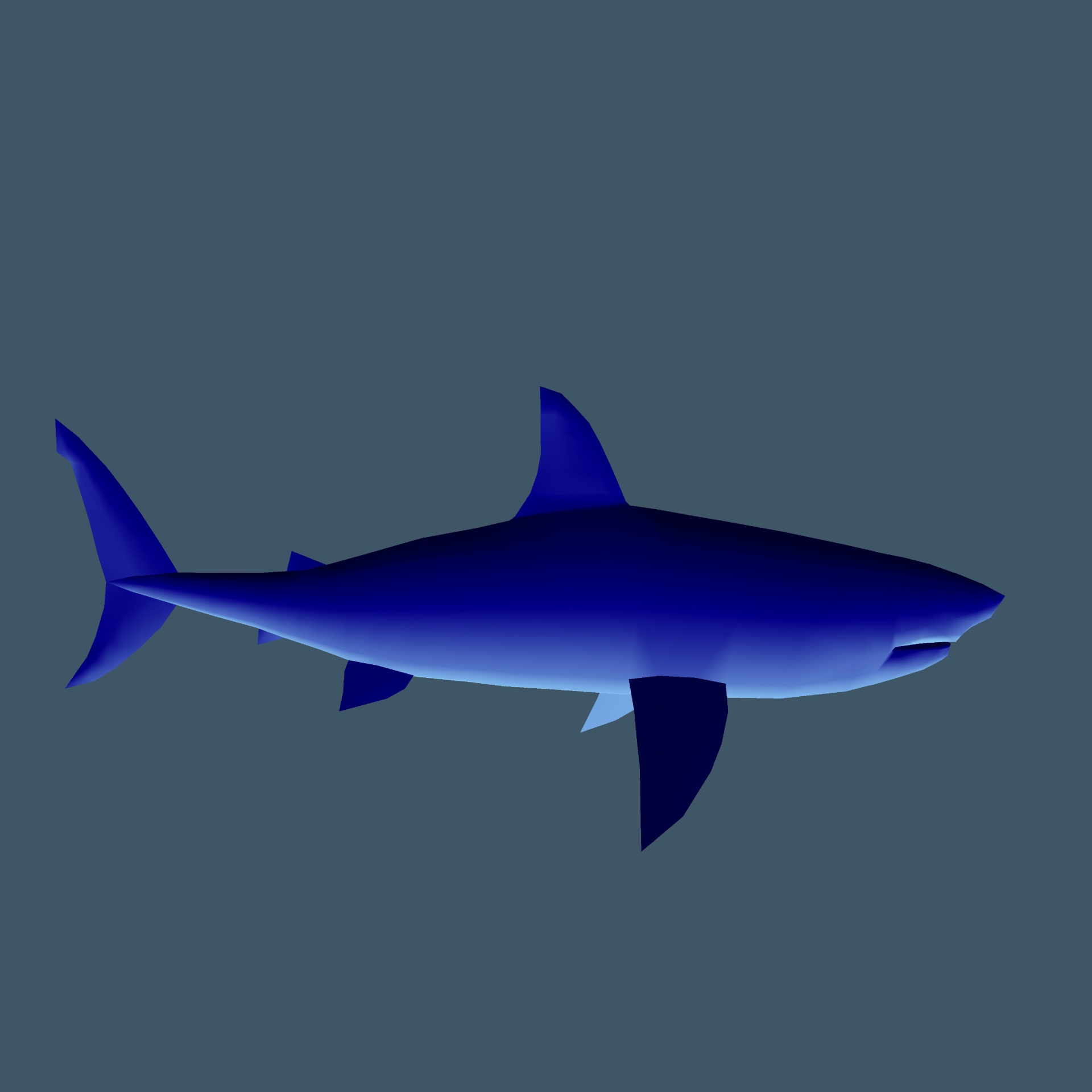 Blue shark. Голубая акула. Синяя акула. Синяя акула цвет. Акула вид сбоку.