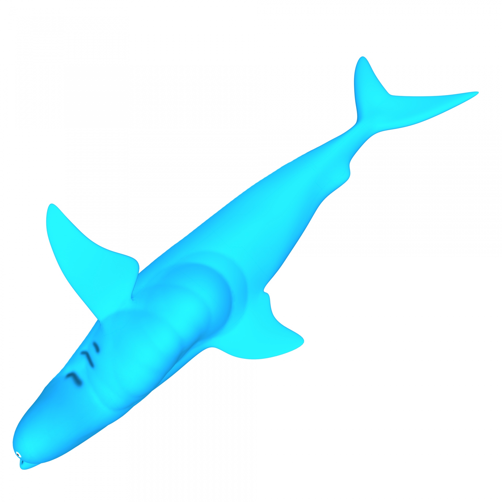 drawing blue shark free photo